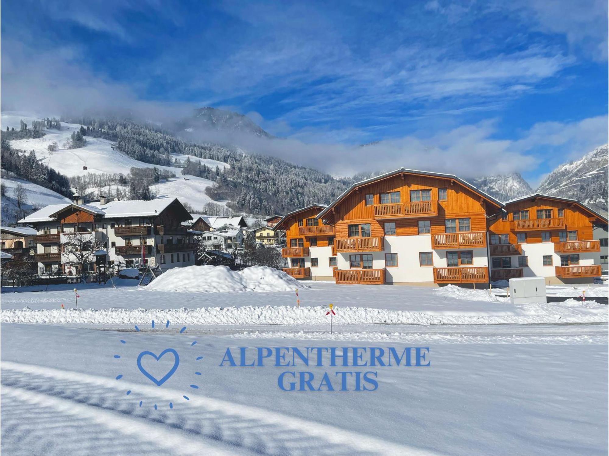 Bauernhofhotel "Die Unterbergerin" - Zimmer Mit Fruehstueck Und Ferienwohnungen In Gastein Mit Gratis Thermeneintritt Dorfgastein Εξωτερικό φωτογραφία