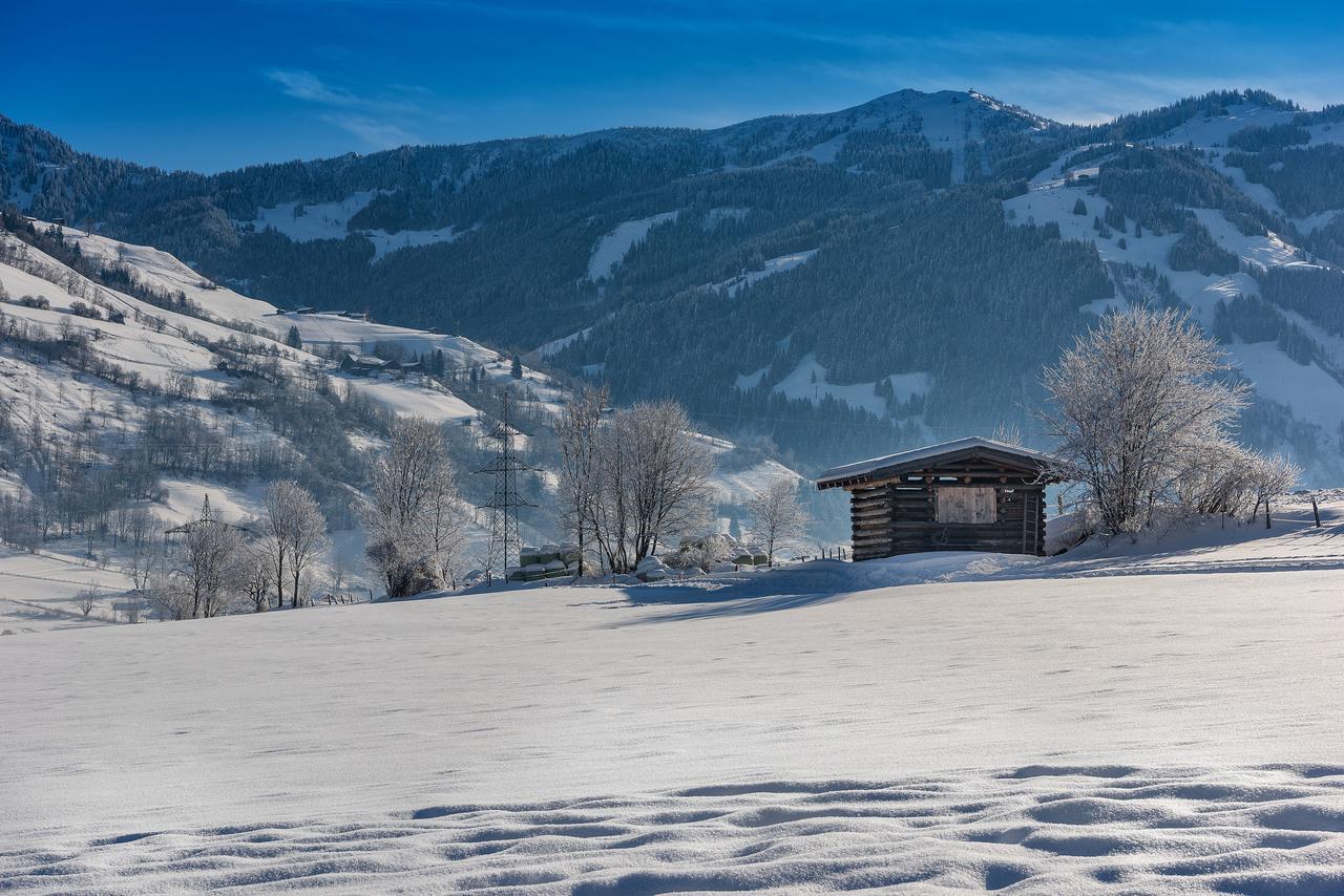 Bauernhofhotel "Die Unterbergerin" - Zimmer Mit Fruehstueck Und Ferienwohnungen In Gastein Mit Gratis Thermeneintritt Dorfgastein Εξωτερικό φωτογραφία