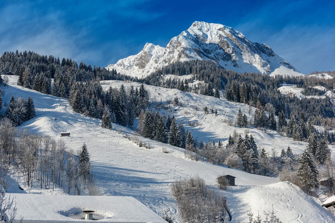 Bauernhofhotel "Die Unterbergerin" - Zimmer Mit Fruehstueck Und Ferienwohnungen In Gastein Mit Gratis Thermeneintritt Dorfgastein Εξωτερικό φωτογραφία