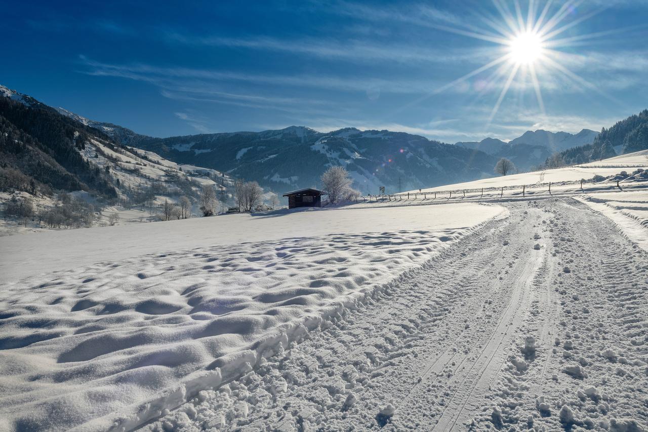 Bauernhofhotel "Die Unterbergerin" - Zimmer Mit Fruehstueck Und Ferienwohnungen In Gastein Mit Gratis Thermeneintritt Dorfgastein Εξωτερικό φωτογραφία